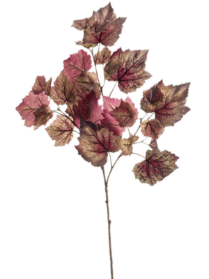 Branch Purple