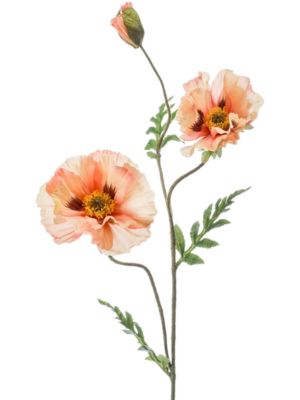 Spray Peach