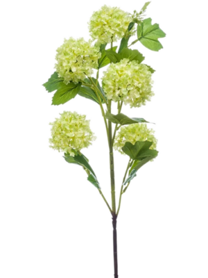 Spray Light Green