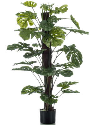 Säule (33 lvs.)