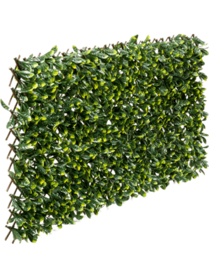 Hecke