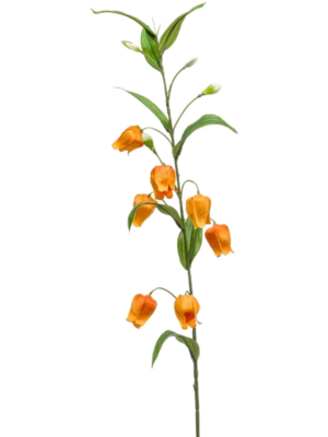 Spray Light Orange