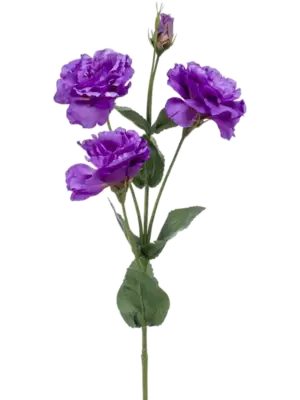 Spray Purple