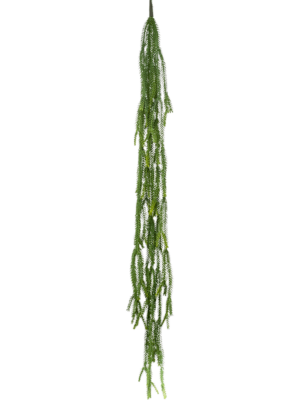 Hanging Busch
