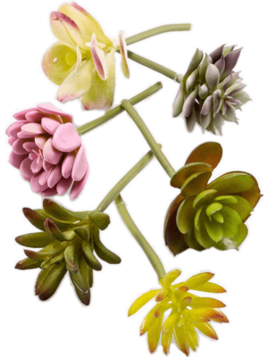 Assortment of 6 Colours
