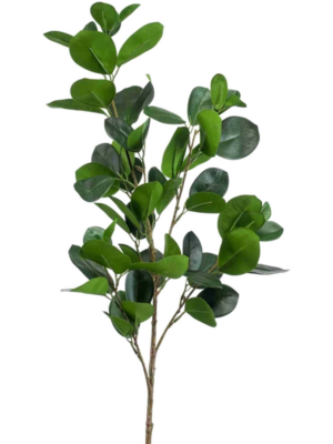 Spray Green