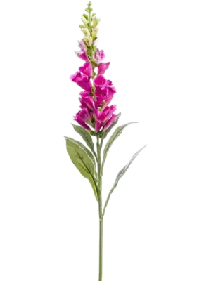 Spray Fuchsia