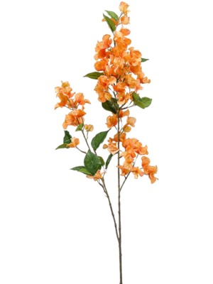 Zweig x5 Gelb/Orange