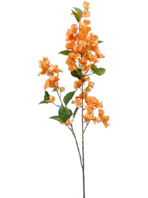 Zweig x5 Gelb/Orange