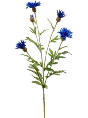 Spray Blue
