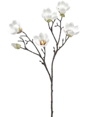 Branch Cream
