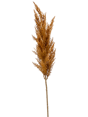 Branch Orange