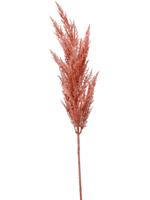 Branch Pink