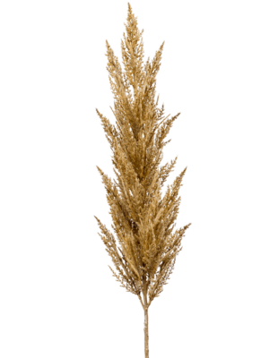 Zweig Beige
