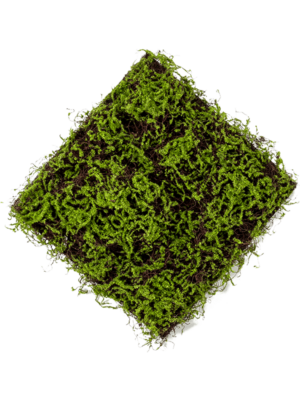 Moss Green/Brown Matte