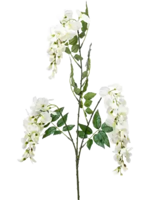 Branch Cream