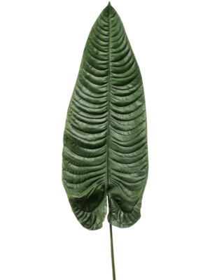 Blatt Green