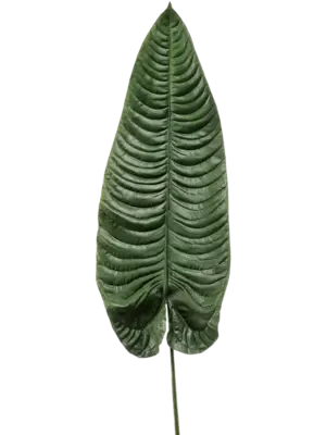 Blatt Green