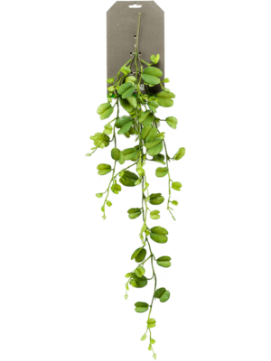 Busch Vine