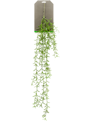 Busch Vine