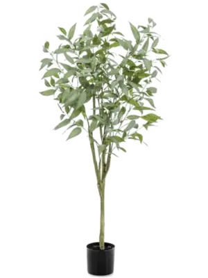 Verzweigt