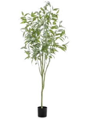 Verzweigt