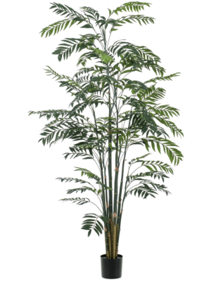 Bush (2 Teile)