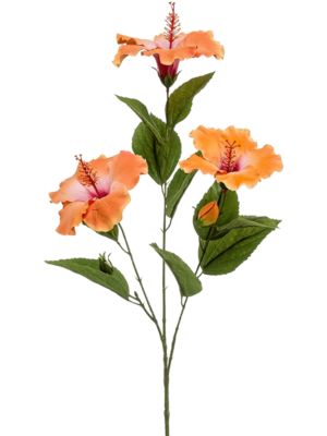 Spray x3 Lt Orange