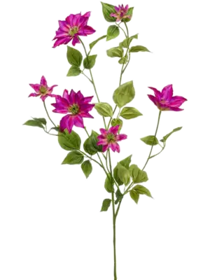 Spray Fuchsia