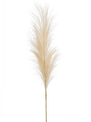 Zweig Cream