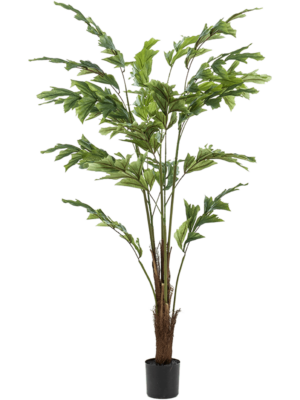 Branched