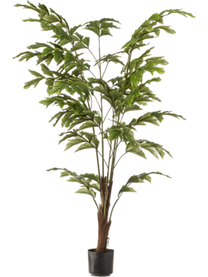 Branched
