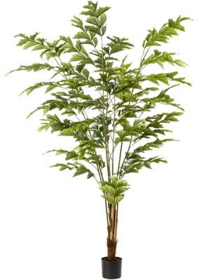 Branched