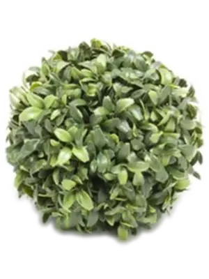 Green (UV)