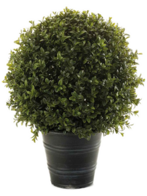 In Plastic Pot (UV)