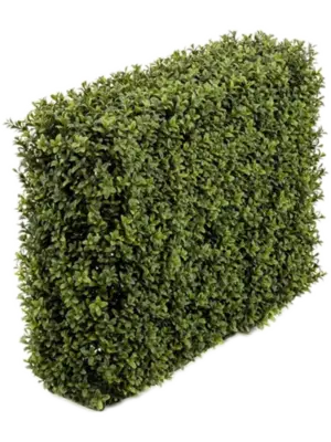 Fence (UV)