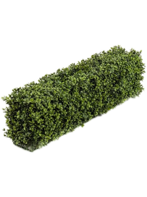 Fence (UV)