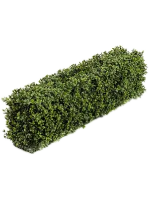 Fence (UV)