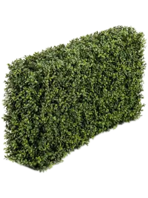 Fence (UV)