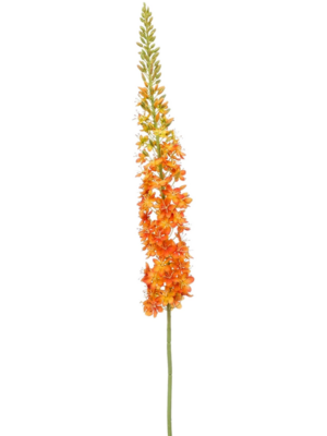 Spray Orange