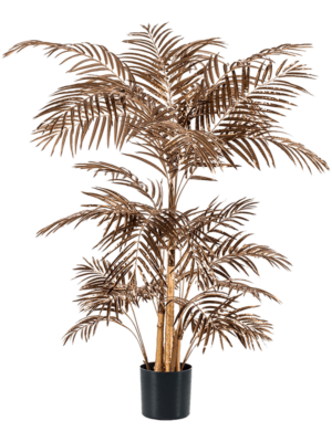 Bush Bronze