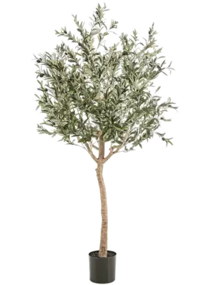 Tree 180cm (Knock-down Packing)