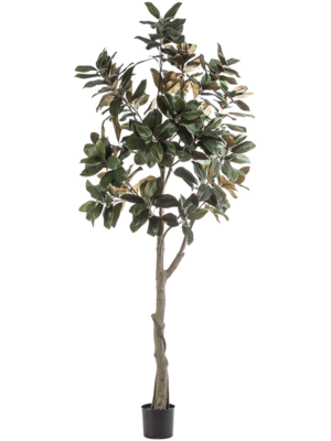 Tree (2 Teile)