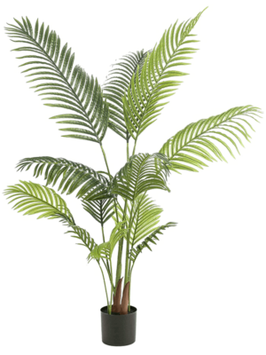 Palm 12lvs 140cm