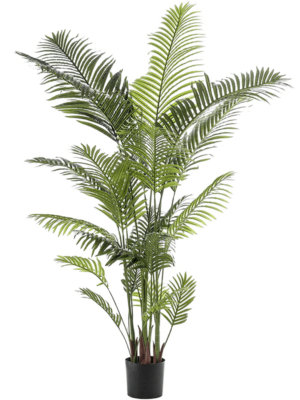 Palm 23lvs 200cm