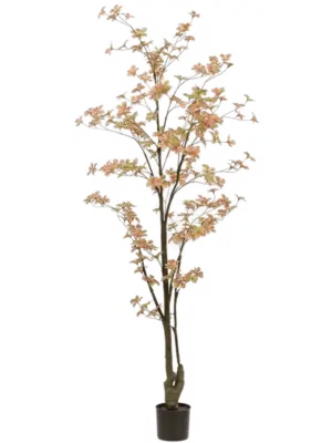 Verzweigt Peach/Green