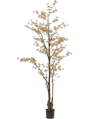 Verzweigt Peach/Green