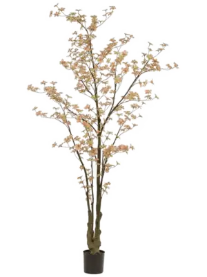 Verzweigt Peach/Green