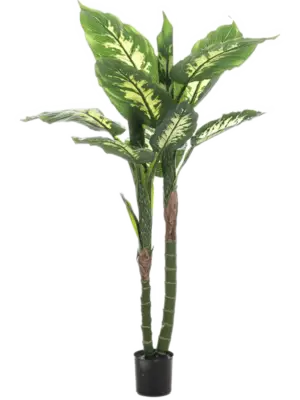 Tuft