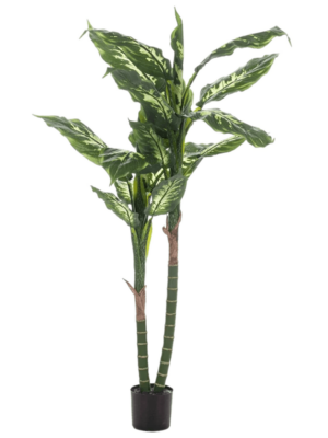 Tuft